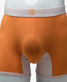 The Tiger Boxer Briefs